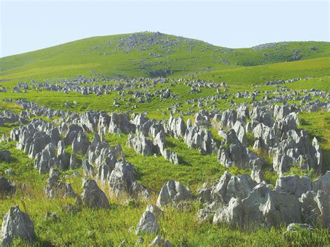 The Akiyoshidai Quasi-National Park: An Enchanting Maze of Limestone Plateaus and Mystical Karst Formations!