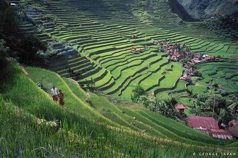 Shilianyao Terraces:  Ancient Wonders of Agricultural Ingenuity!