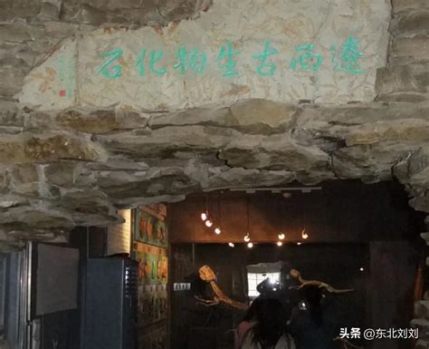 Jinzhou Museum: Unveiling Centuries of History and Exquisite Artifacts!