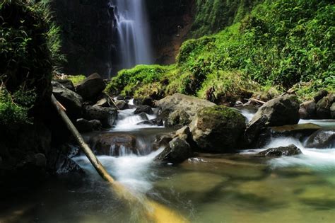 Luohe Waterfall Museum An Aquatic Wonderland Filled With Natural Beauty and Fascinating Artifacts!