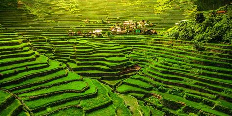 Shilianyao Terraces:  Ancient Wonders of Agricultural Ingenuity!