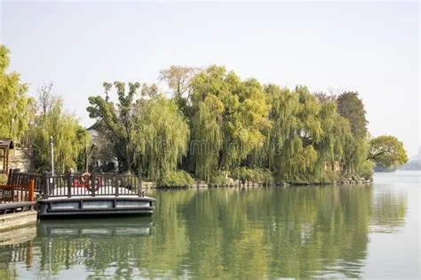 South Lake Scenic Area: A Picturesque Paradise Where History Meets Nature!