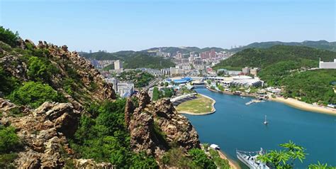 Tiger Beach Dalian A Thrilling Encounter With Nature's Majesty!